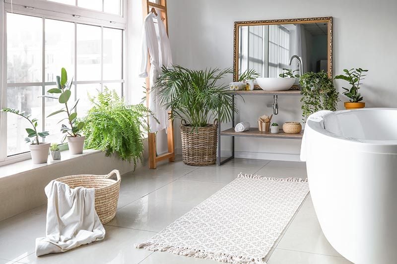 Baño decorado con plantas: Ideas y consejos - Thebath