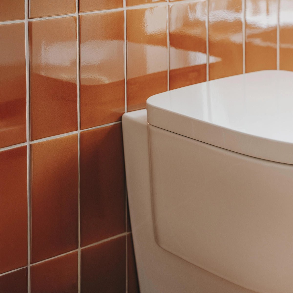 Inodoro Roca Tura - Thebath