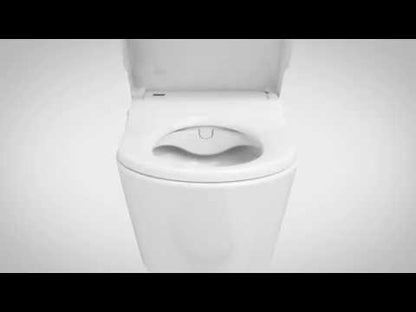 Roca no vaso sanitário